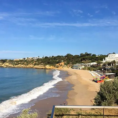 Luxurious In With Pool *